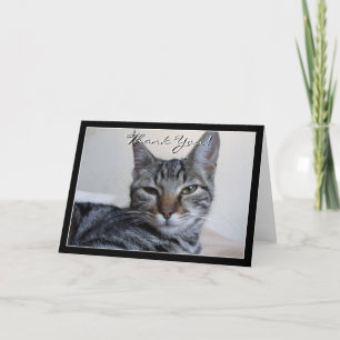 hälsningskort för Tack Tabby katt Kort