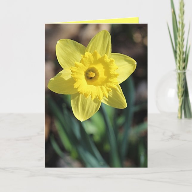 Hälsningskort för Vår! Kort (Framsida)