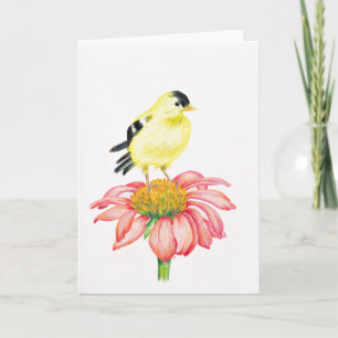 Hälsningskort Goldfinch & Coneflower Kort
