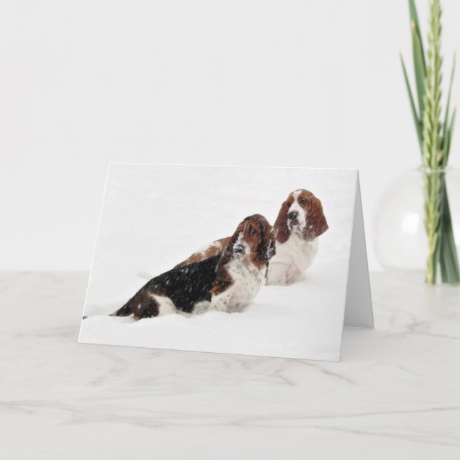 Hälsningskort i serien "Basset Hounds in Vild" Kort (Framsida)