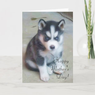 hälsningskort lycklig Mors dag Husky Kort