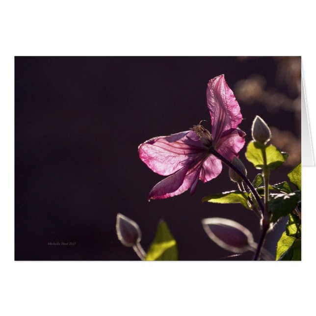 Hälsningskort med blomma (Framsidan Horizontal)