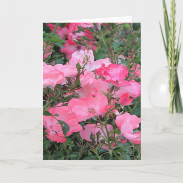 Hälsningskort med Rosa ros Kort (Framsida)