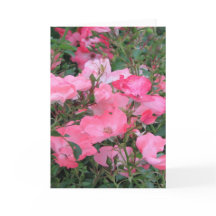 Hälsningskort med Rosa ros