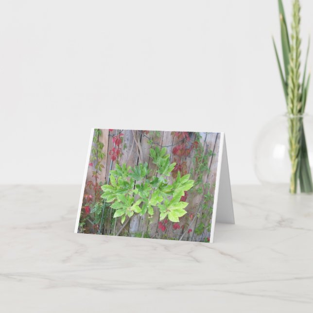 Hälsningskort med vackra löv på stängsel. tack kort (Framsida)