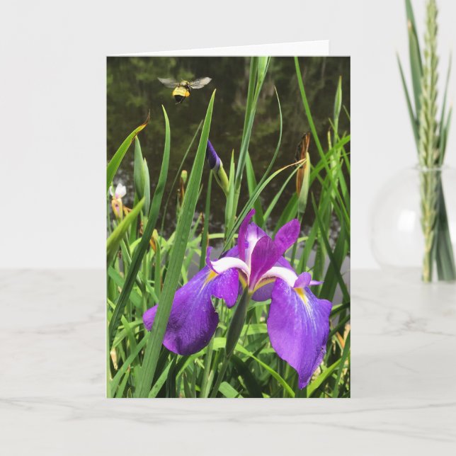 hälsningskort nr 1 för vår tid kort (Framsida)