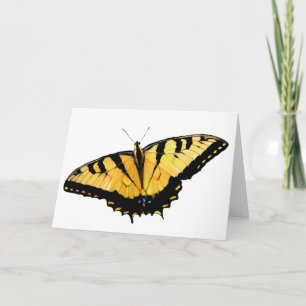 Hälsningskort Tiger Swallowtail Kort