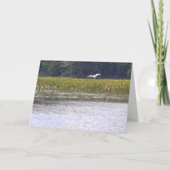 Hälsningskortens natur kort (Framsida)