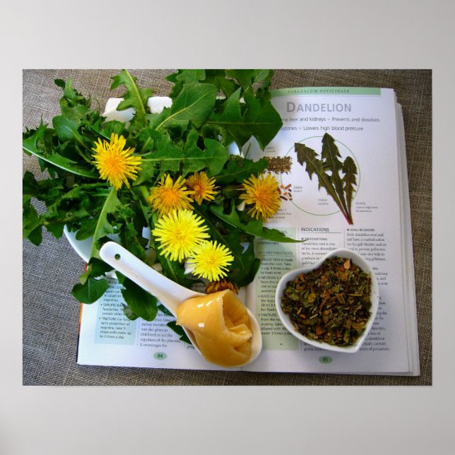 HÄLSODANDLIONER ~ Poster (Framsidan)