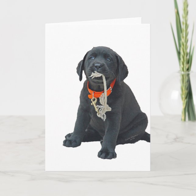Hälsokort eller anteckningskort med svart Labrador (Framsida)