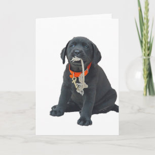 Hälsokort eller anteckningskort med svart Labrador