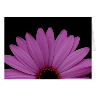 Halv Daisy Hälsningskort