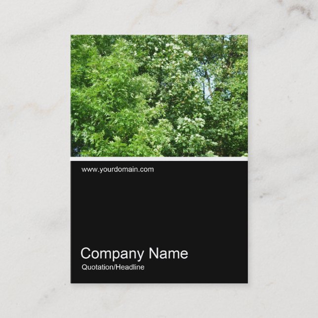 Halv&foto 0160 - sommaruppehåll visitkort (Framsida)