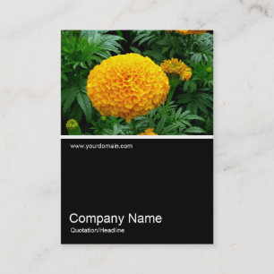 Halv&foto 0163 - Orange Chrysanthemum Visitkort