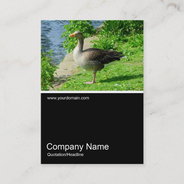 Halv&foto 0224 - Greylag Goose Visitkort (Framsida)