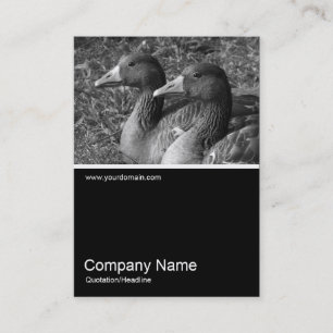 Halv&foto 0241 - Greylag Geese B&W Visitkort