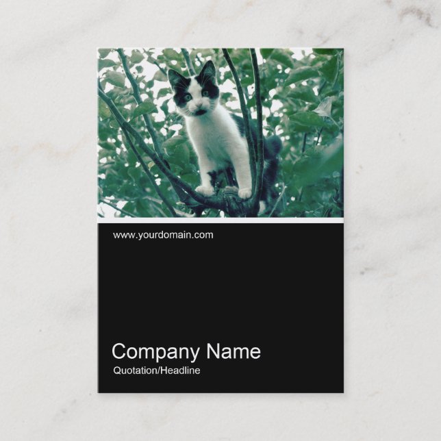 Halv&foto 0249 - Superfluity of Naughtiness Visitkort (Framsida)