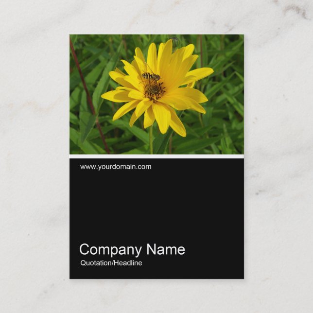 Halv&foto 0259 - Hover Fly på en Gult Chrys Visitkort (Framsida)