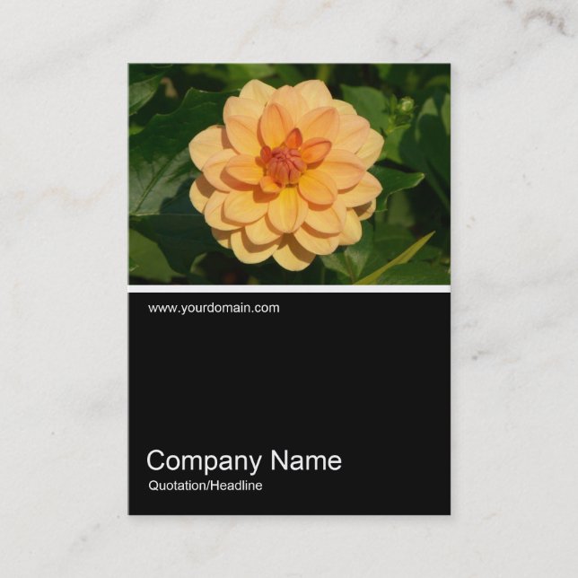 Halv&foto 0281 - Dahlia 'David Howard' Visitkort (Framsida)