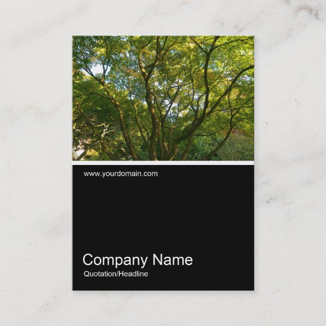 Halv&foto 0289 - Japanskt Grenar 06 Visitkort (Framsida)