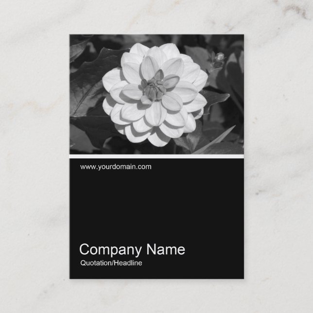 Halv&foto 0291 - Dahlia 'David Howard' Visitkort (Framsida)