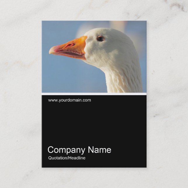 Halv&foto 0309 - Haughty White Goose Visitkort (Framsida)
