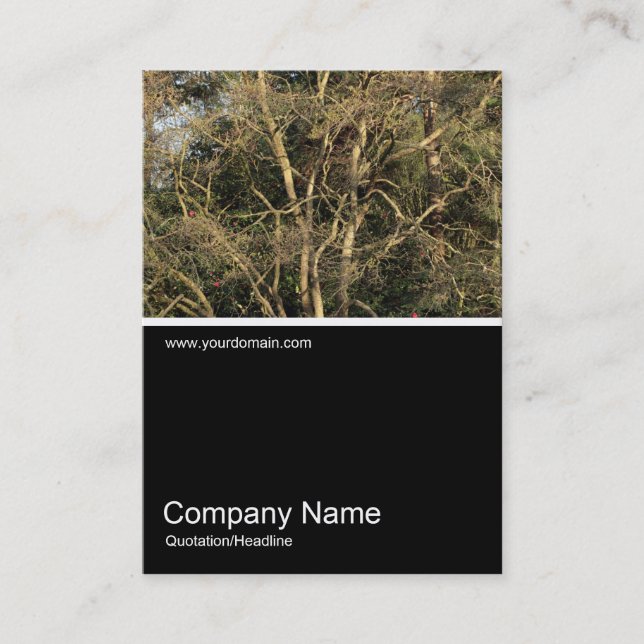 Halv&foto 0312 - Golden Grenar Visitkort (Framsida)