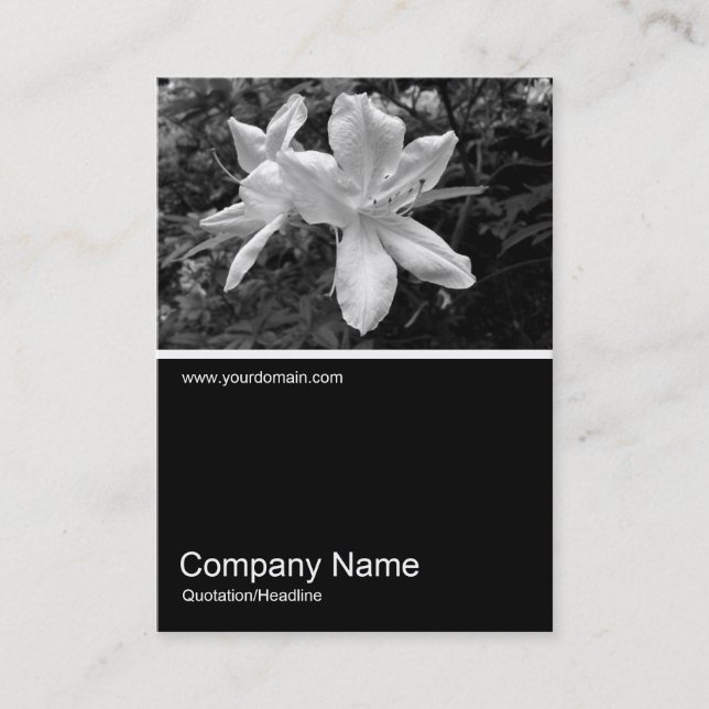 Halv&foto 034 - Azaleas Visitkort (Framsida)