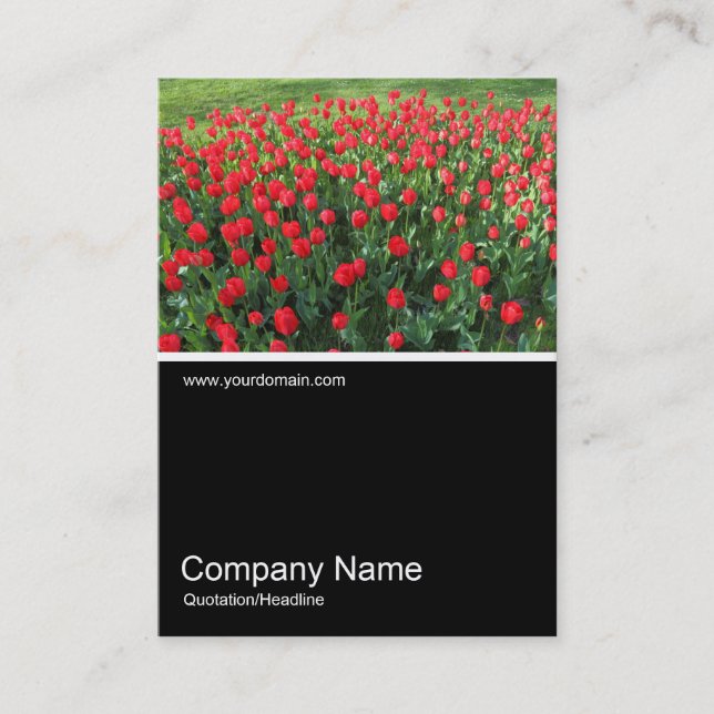 Halv&foto 0381 - Bed av röda tulpaner 01 Visitkort (Framsida)
