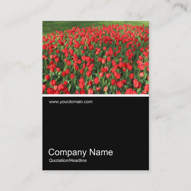Halv&foto 0382 - Bed av Röda Tulips 02 Visitkort (Framsida)