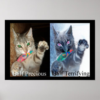 Halv och halv poster