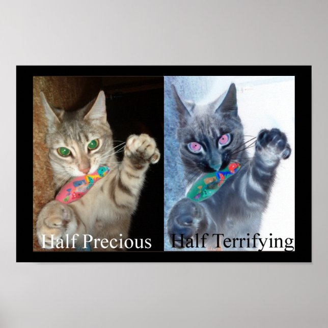 Halv och halv poster (Framsidan)