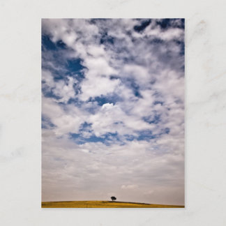 Halva blå universum vykort