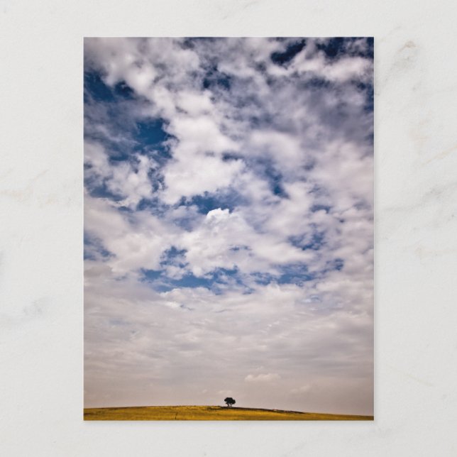 Halva blå universum vykort (Framsida)