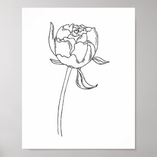 Halva blomkål teckning på poster