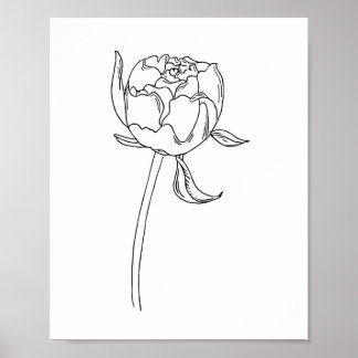 Halva blomkål teckning på poster