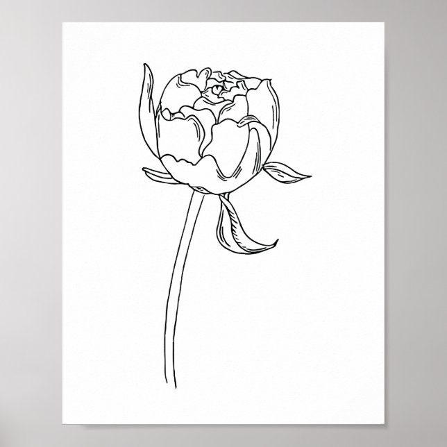 Halva blomkål teckning på poster (Framsidan)