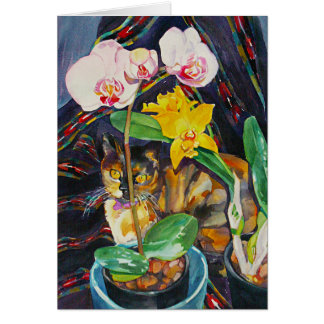 "Halva & halvt ", Hälsningskort