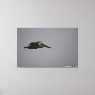 Halva Måne Bay Fierce Pelican III - Wrapped Canvas