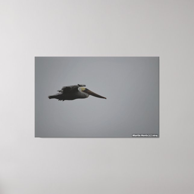 Halva Måne Bay Fierce Pelican III - Wrapped Canvas (Framsida)