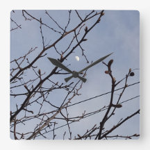 Halva Måne i Daylight