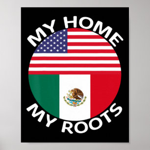 Halva mexikanska halva amerikanska Flagga USA, Mex Poster