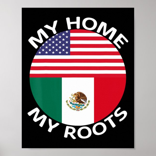 Halva mexikanska halva amerikanska Flagga USA, Mex Poster (Framsidan)