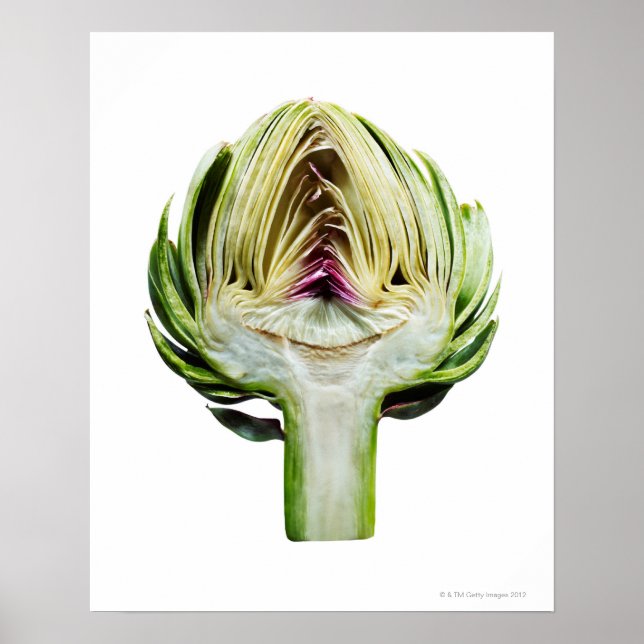 Halva utskärningen av Globe artichoke Poster (Framsidan)