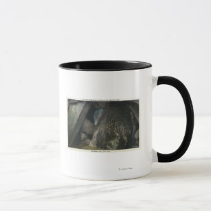 Halvan gömmde nedgångar beskådar av domen Hall Mugg