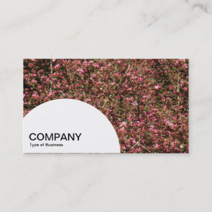 Halvcirkelpanel - Rosa Cherry Blommar 02 Visitkort