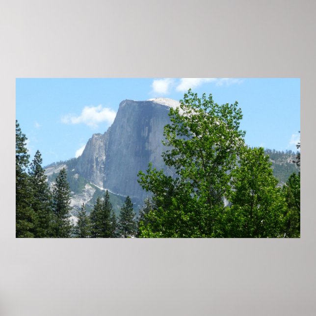 Halvdaglig sommar från nationalparken Yosemite Poster (Framsidan)