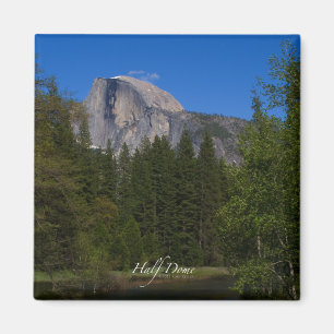 Halvdomän Magnet