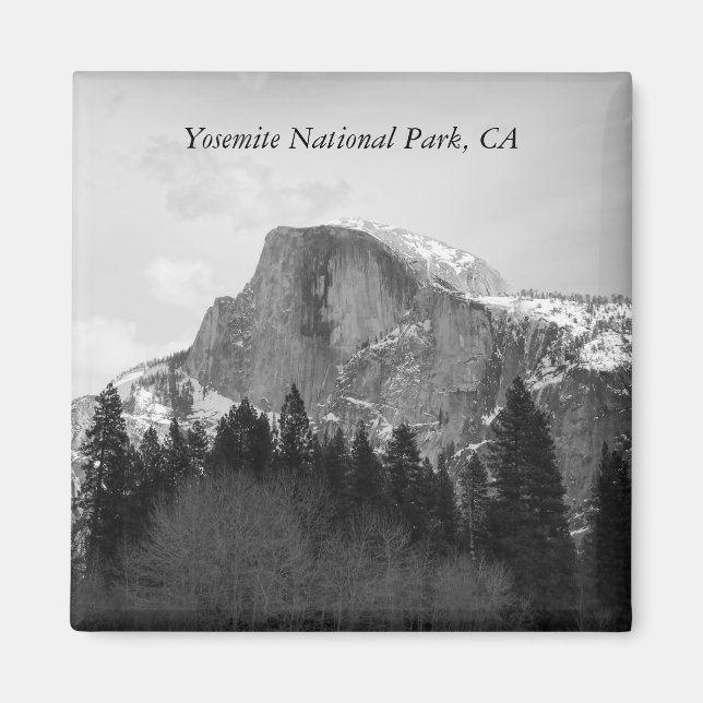 Halvdommagnet Magnet (Framsidan)