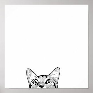 Halvkattstam i ansikte poster